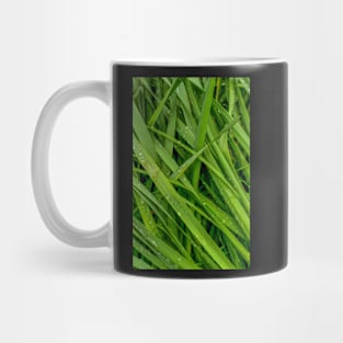 Wet Summer Grass Mug